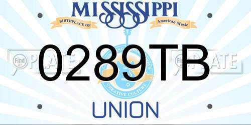 0289TB Mississippi License Plate