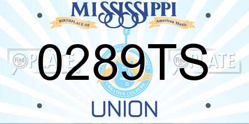 0289TS Mississippi License Plate