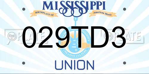 029TD3 Mississippi License Plate