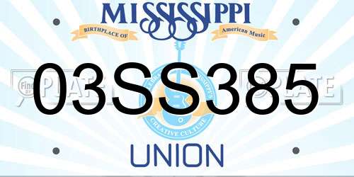 03SS385 Mississippi License Plate
