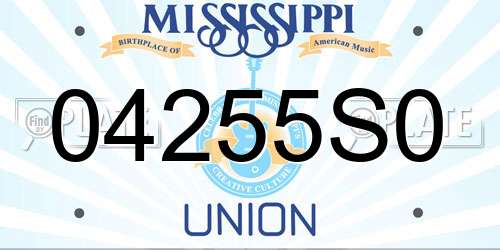 04255S0 Mississippi License Plate