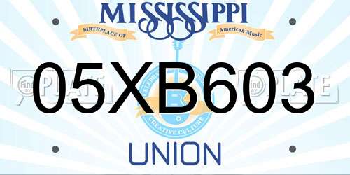05XB603 Mississippi License Plate