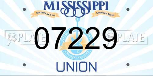 07229 Mississippi License Plate