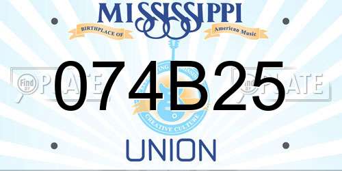 074B25 Mississippi License Plate