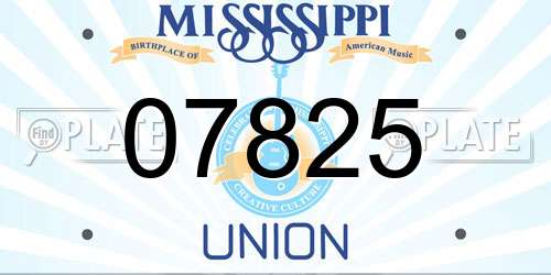 07825 Mississippi License Plate