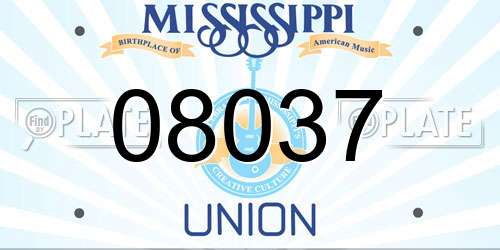 08037 Mississippi License Plate