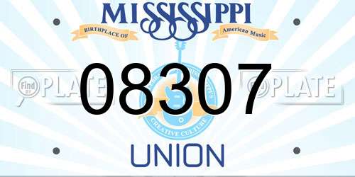 08307 Mississippi License Plate