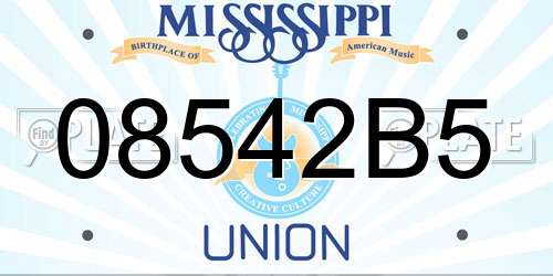 08542B5 Mississippi License Plate