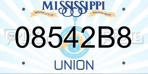 08542B8 Mississippi License Plate
