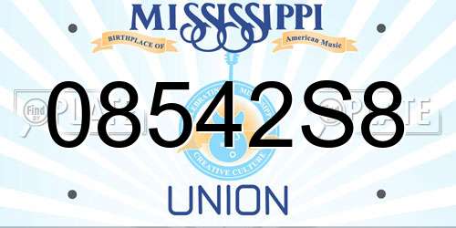 08542S8 Mississippi License Plate