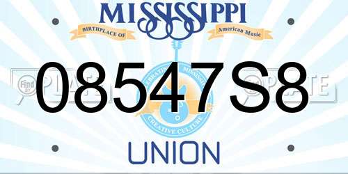 08547S8 Mississippi License Plate