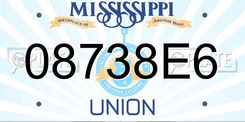 08738E6 Mississippi License Plate