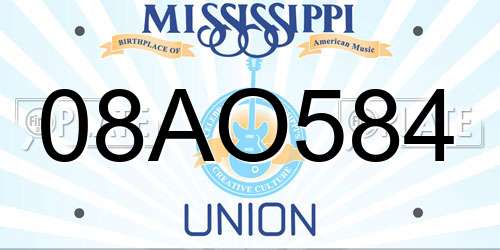 08AO584 Mississippi License Plate