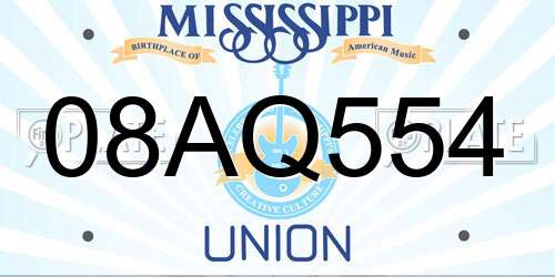 08AQ554 Mississippi License Plate