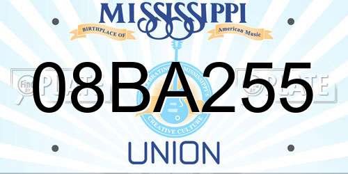 08BA255 Mississippi License Plate