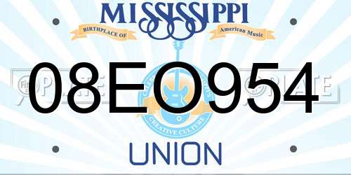 08EO954 Mississippi License Plate