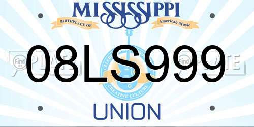 08LS999 Mississippi License Plate