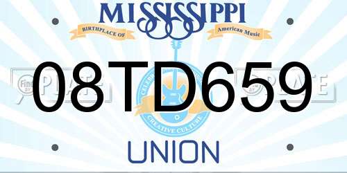 08TD659 Mississippi License Plate