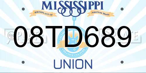 08TD689 Mississippi License Plate