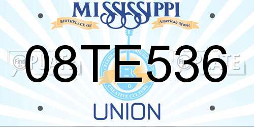 08TE536 Mississippi License Plate