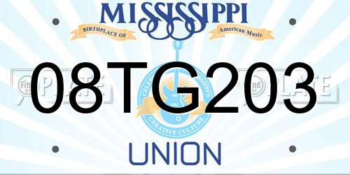 08TG203 Mississippi License Plate