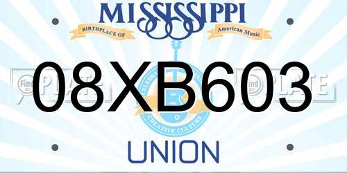 08XB603 Mississippi License Plate