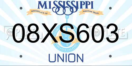 08XS603 Mississippi License Plate