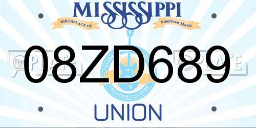 08ZD689 Mississippi License Plate