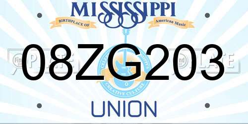 08ZG203 Mississippi License Plate