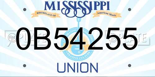 0B54255 Mississippi License Plate