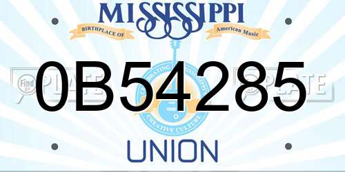 0B54285 Mississippi License Plate