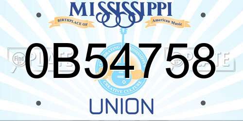 0B54758 Mississippi License Plate