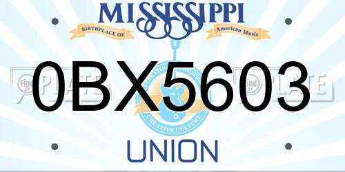 0BX5603 Mississippi License Plate