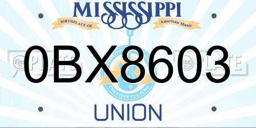 0BX8603 Mississippi License Plate