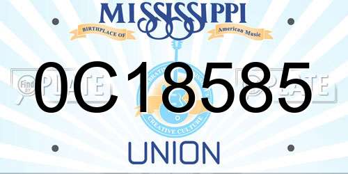 0C18585 Mississippi License Plate