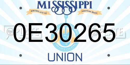 0E30265 Mississippi License Plate