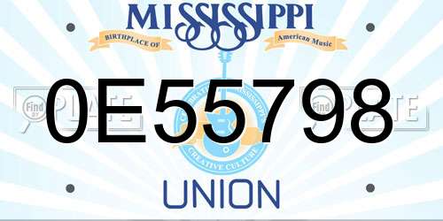 0E55798 Mississippi License Plate