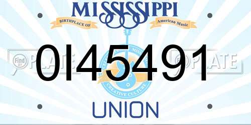 0I45491 Mississippi License Plate