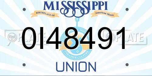 0I48491 Mississippi License Plate