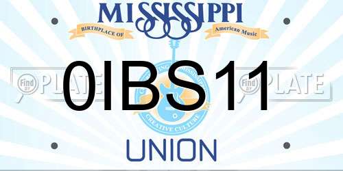 0IBS11 Mississippi License Plate
