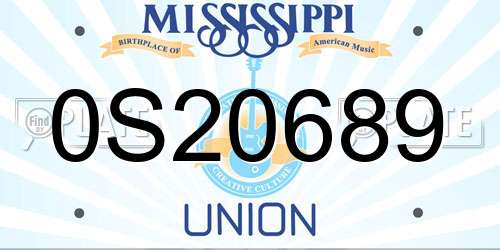 0S20689 Mississippi License Plate