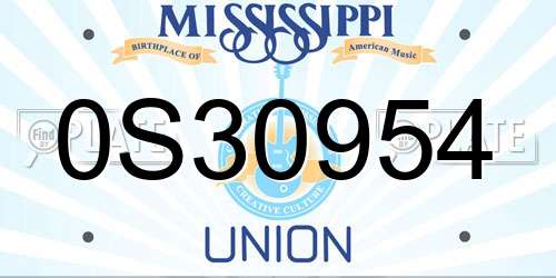 0S30954 Mississippi License Plate