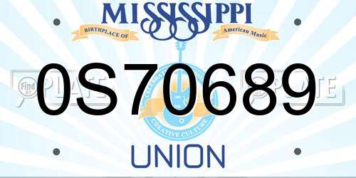 0S70689 Mississippi License Plate