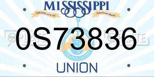 0S73836 Mississippi License Plate