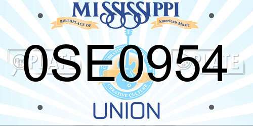 0SE0954 Mississippi License Plate