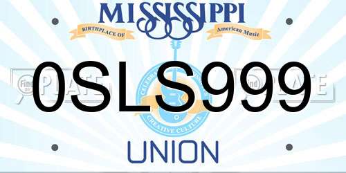 0SLS999 Mississippi License Plate