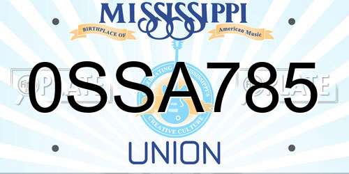 0SSA785 Mississippi License Plate