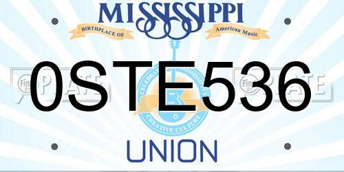 0STE536 Mississippi License Plate