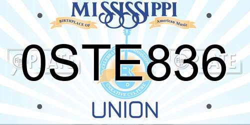 0STE836 Mississippi License Plate