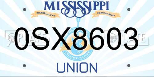 0SX8603 Mississippi License Plate